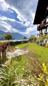 ein Paar Stühle auf einem Grasfeld in der Unterkunft CHALET ROMANTICA Carpe Diem BEST VIEW BEST LOCATION in Brienz