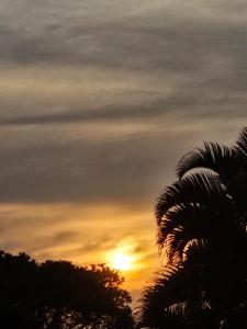 una puesta de sol con una palmera en primer plano en Angel Bay, 129 Nkwazi Drive, Zinkwazi, en Zinkwazi Beach