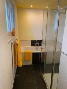 ein Badezimmer mit einer Dusche, einer Badewanne und einem Waschbecken in der Unterkunft Holiday Apartment NAMASTAY in Küssaberg
