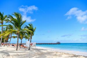 a beach with palm trees and a pier at Honky Tonk Punta Cana in Punta Cana