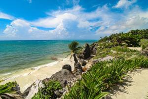 a beach with a palm tree and the ocean at Menesse Tulum #204A Downtown in Tulum