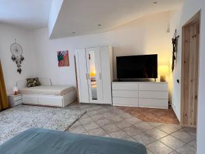 TV a/nebo společenská místnost v ubytování Apartament ORZEŁ BIAŁY