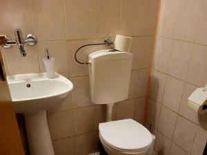 a bathroom with a toilet and a sink at Domek w Górach in Korbielów