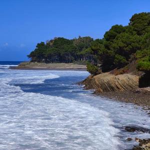 a beach with waves and trees on the shore at Bellezza In Cilento Panoramic Apts in Castellabate