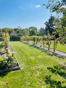 un jardín con una fila de árboles y césped en Auprès des vignes d’Amiens, en Saint-Fuscien