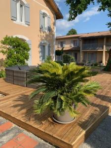 une plante en pot assise sur une table en bois devant une maison dans l'établissement LOGIS HOTELS - Hôtel et Restaurant L'Océana, à Lanton