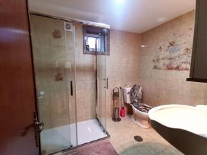 y baño con ducha y aseo. en Nina23 - garagem gratuita en Aveiro