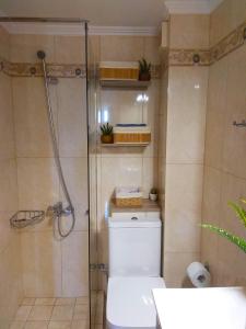 La salle de bains est pourvue de toilettes et d'une douche en verre. dans l'établissement Stelia Apartment, à Ayiá