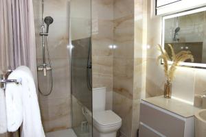 een badkamer met een douche, een toilet en een wastafel bij L'oiseau du paradis - moderne et élégant in Cayenne
