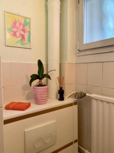 ein Badezimmer mit einer auf einem Regal sitzenden Pflanze in der Unterkunft Zentral mit Entspannung pur in Mörfelden-Walldorf