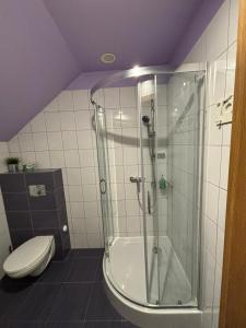 シュチルクにあるJaśminowe Ogrodyのバスルーム(シャワー、トイレ付)