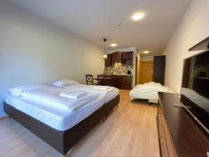 ein Schlafzimmer mit zwei Betten und ein Wohnzimmer in der Unterkunft International House Sölden Studio ZW 3 in Sölden