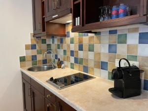 a kitchen with a sink and a counter top at International House Sölden Studio ZW 3 in Sölden