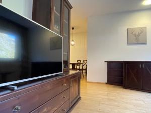 um grande centro de entretenimento com uma grande televisão de ecrã plano em International House Sölden Standard Apartment ZW 10 em Sölden