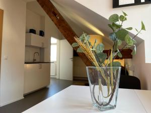 un vase avec des plantes assises sur une table dans l'établissement Studio im Zentrum von Lochau, #3, à Lochau