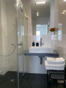 a bathroom with a sink and a shower at VINCENT Apartment in Bregenz mit Parkplatz in Bregenz