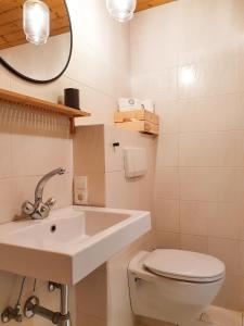 een badkamer met een wastafel, een toilet en een spiegel bij Gruberwirt Studio-Apartment GW 6 in Innsbruck