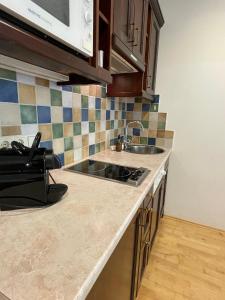 eine Küche mit einer Spüle und einer Arbeitsplatte in der Unterkunft International House Sölden Deluxe Apartment ZW 13 in Sölden