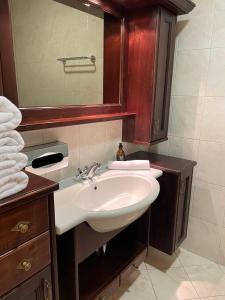 ein Bad mit einem Waschbecken und einem Spiegel in der Unterkunft International House Sölden Deluxe Apartment ZW 13 in Sölden