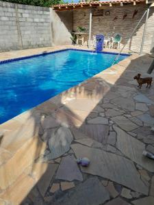 a dog standing next to a swimming pool at Chácara in Ibiúna +1 photo