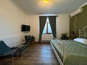 a bedroom with a bed and a tv and a window at Vila Speranta in Pleşcoi