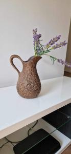 Afbeelding uit fotogalerij van Apartamento T3 - férias in Barcelos