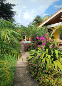 un jardín con flores rosas y una casa en Arenal Villas Tranquilas, free-standing equipped houses en Nuevo Arenal