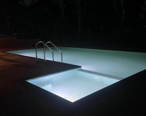 a dark room with a pool with two metal bars at Peakaavu Cottages in Idukki