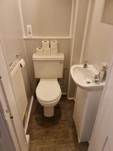 a small bathroom with a toilet and a sink at Cathcart Place Rooms in Edinburgh