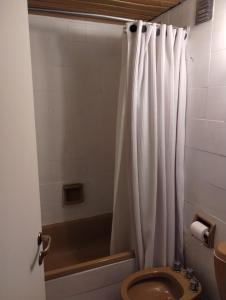 a bathroom with a shower curtain and a toilet at Altos Penitentes Lomas Blancas, dúplex in Uspallata