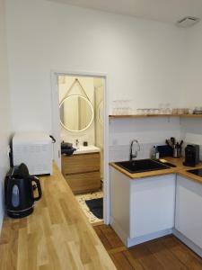 a kitchen with a sink and a counter top at ROMANESCO in Rennes