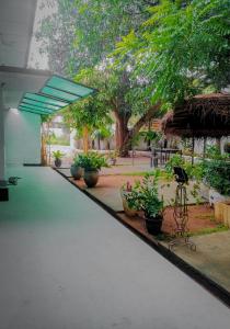 einen Gehweg mit Topfpflanzen in einem Gebäude in der Unterkunft Rochana Holiday Resort in Anuradhapura