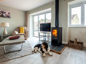 a dog laying in a living room with a fireplace at 2 Bed in Newent 78696 in Aston Ingham