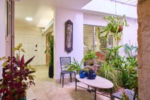 a patio with a table and a bunch of plants at Apartahotel Fiorentina Boutique in Medellín