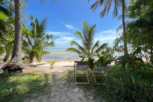 una playa con una silla, palmeras y el océano en FRONT BEACH BUNGALOW - OUTDOOR SHOWER - Working Desk en Koh Samui