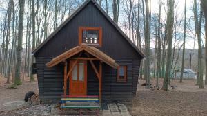 mały czarny domek w lesie w obiekcie Darázshegyi Faház w mieście Mátraszentimre