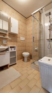 a bathroom with a toilet and a glass shower at Mountain Apartment Rododendro in Tarvisio