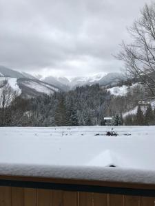 Chata Soňa during the winter