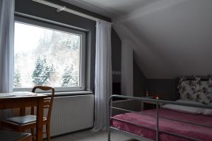 a bedroom with a bed and a large window at Apartament Pod Piórkiem in Krościenko