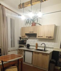 Kuchyň nebo kuchyňský kout v ubytování Altes Haus