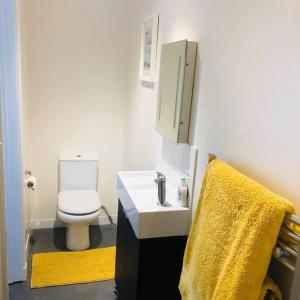 a bathroom with a toilet and a sink with a yellow towel at The Annexe - Spacious 2 bedroom detached cottage in Cardigan
