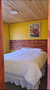 ピチレムにあるBosque Estrelladoのベッドルーム1室(白いベッド1台付)