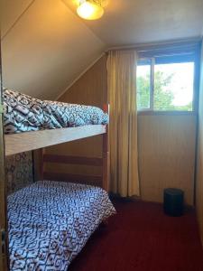 ein Schlafzimmer mit einem Etagenbett und einem Fenster in der Unterkunft Cygnus Hostel in Valdivia