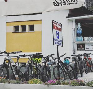 Jízda na kole v ubytování Pension Bellevue Gondo nebo okolí