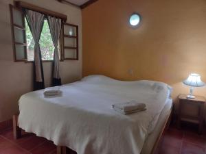 グラナダにあるHotel Casa Barcelonaのベッドルーム1室(ベッド1台、タオル2枚付)