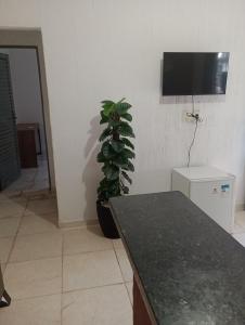 een woonkamer met een potplant en een tafel bij Tedesco in Palmas