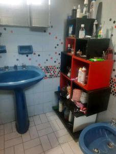 ブエノスアイレスにあるPink houseのバスルーム(青い洗面台、赤い棚付)