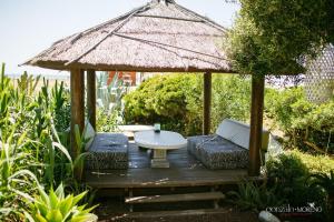 A garden outside Hotel Boutique Varadero