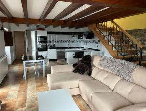 a dog sitting on a couch in a living room at La Casa del Marinero in Cudillero