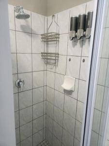 La salle de bains est pourvue d'une douche avec une porte en verre. dans l'établissement The Galton Villa, à Windhoek